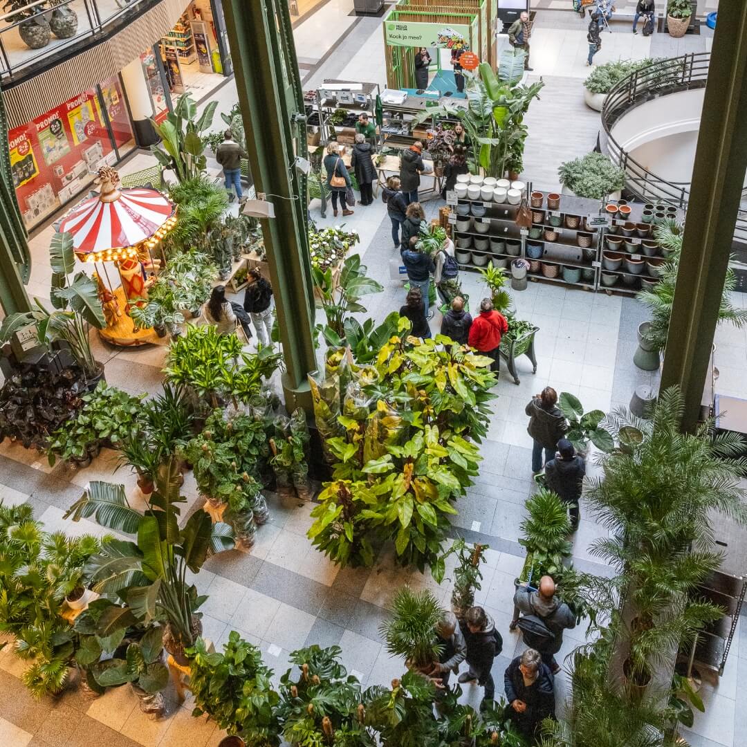 MyGreens-PopUp-Carousel-14