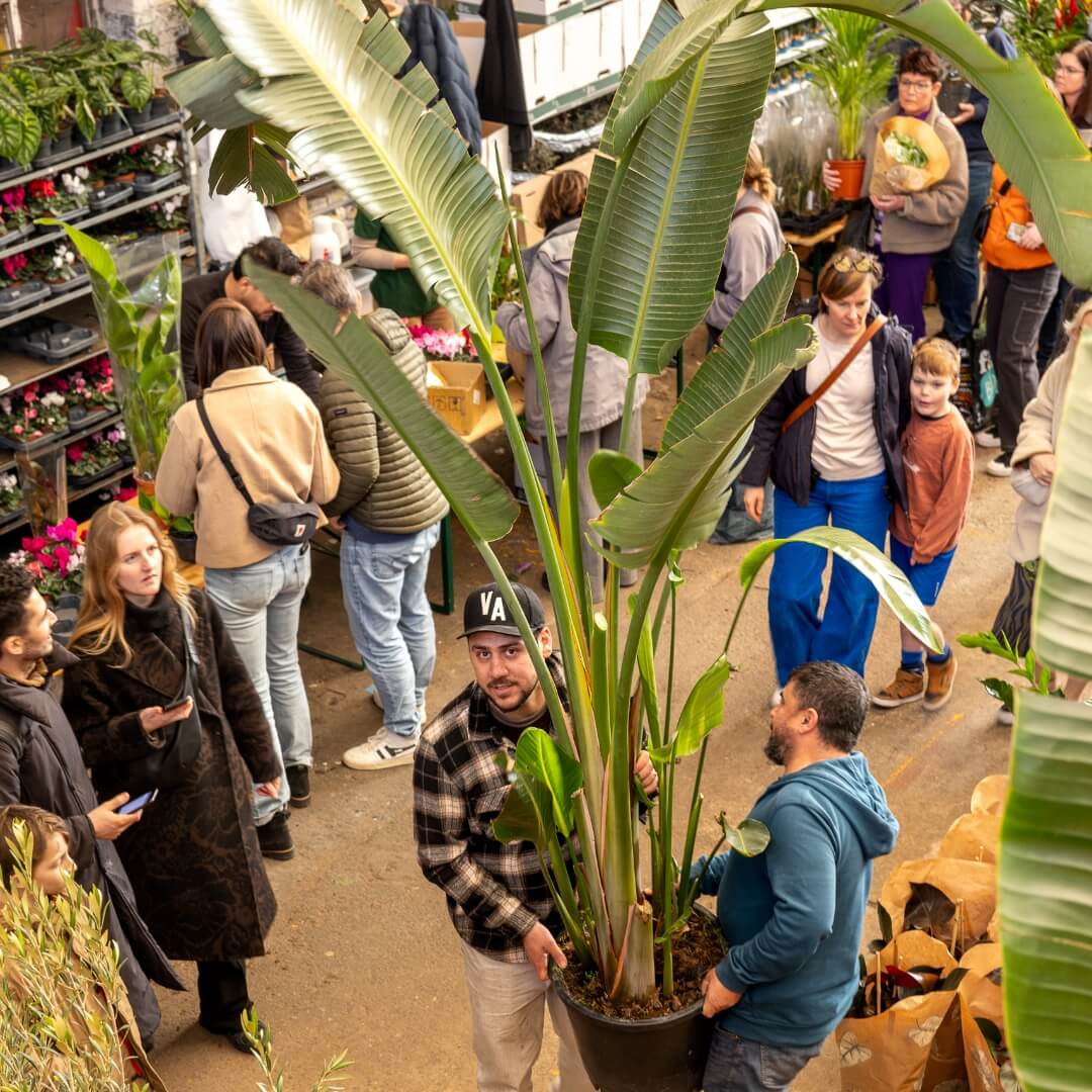 MyGreens-PopUp-Carousel-19