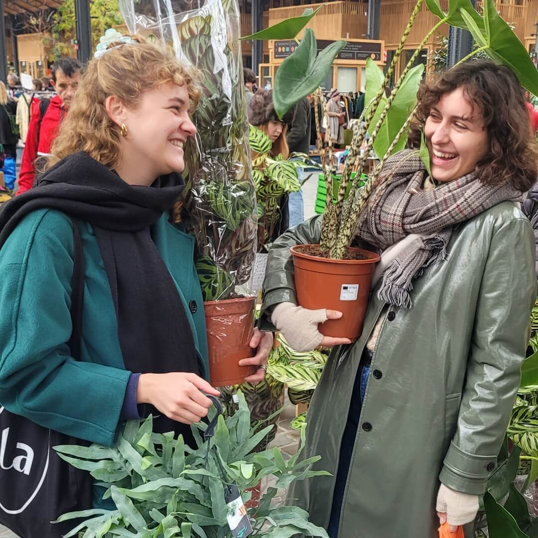 MyGreens-PopUp-Carousel-23