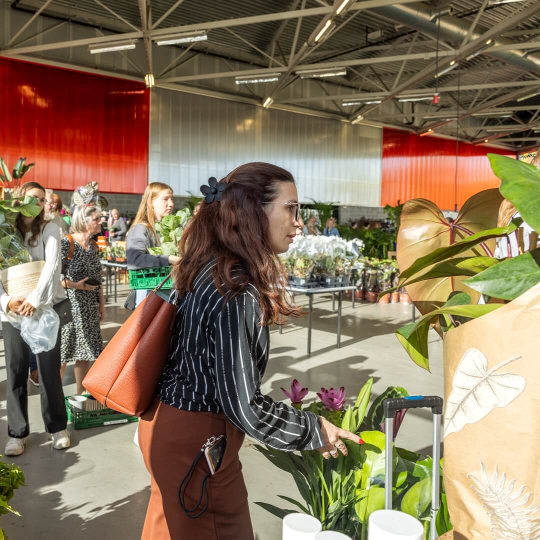 MyGreens-PopUp-Carousel-24