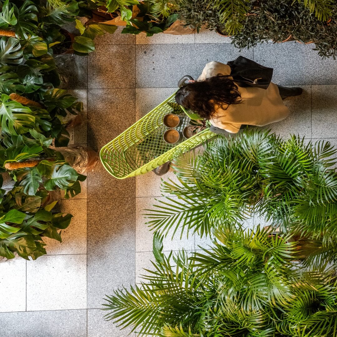 MyGreens-PopUp-Carousel-26