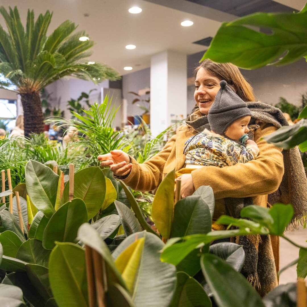 MyGreens-PopUp-Carousel-34