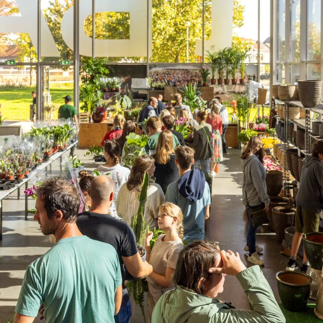 MyGreens-PopUp-Carousel-36