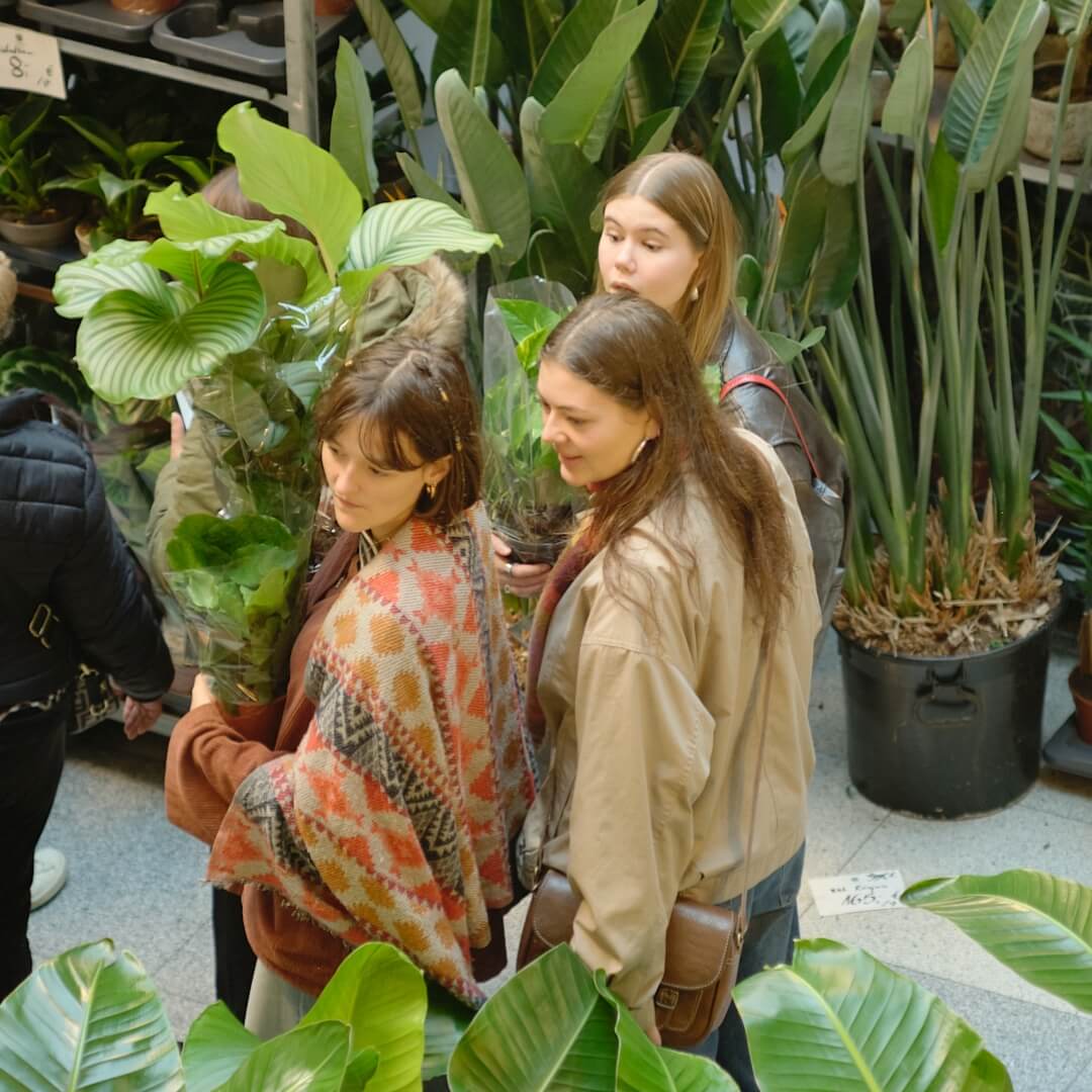 MyGreens-PopUp-Carousel-2025-01-14