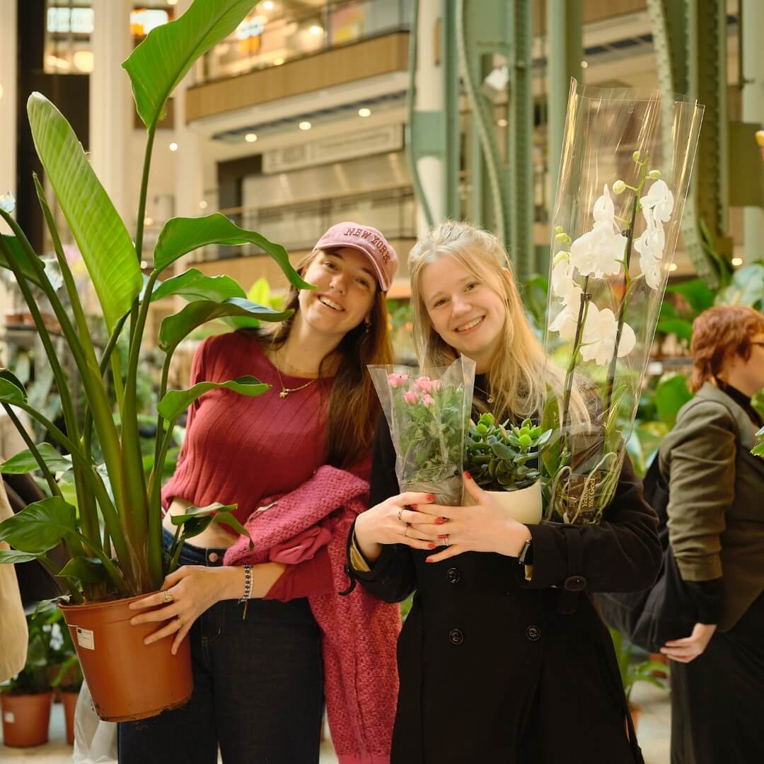 MyGreens-PopUp-Carousel-2025-01-18