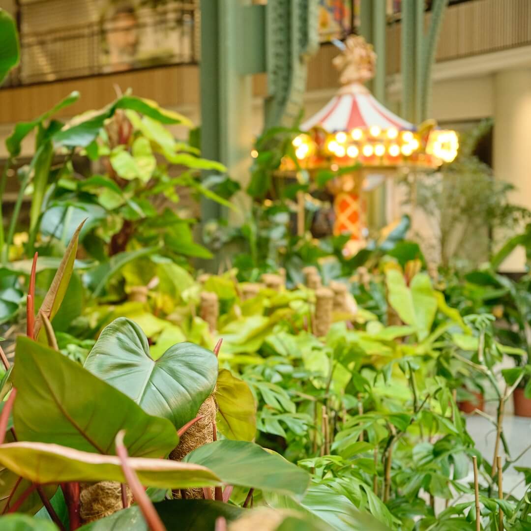 MyGreens-PopUp-Carousel-2025-01-3